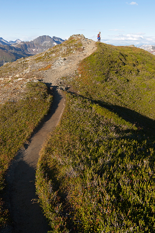 IMG_404.jpg - Mount Roberts at Juneau